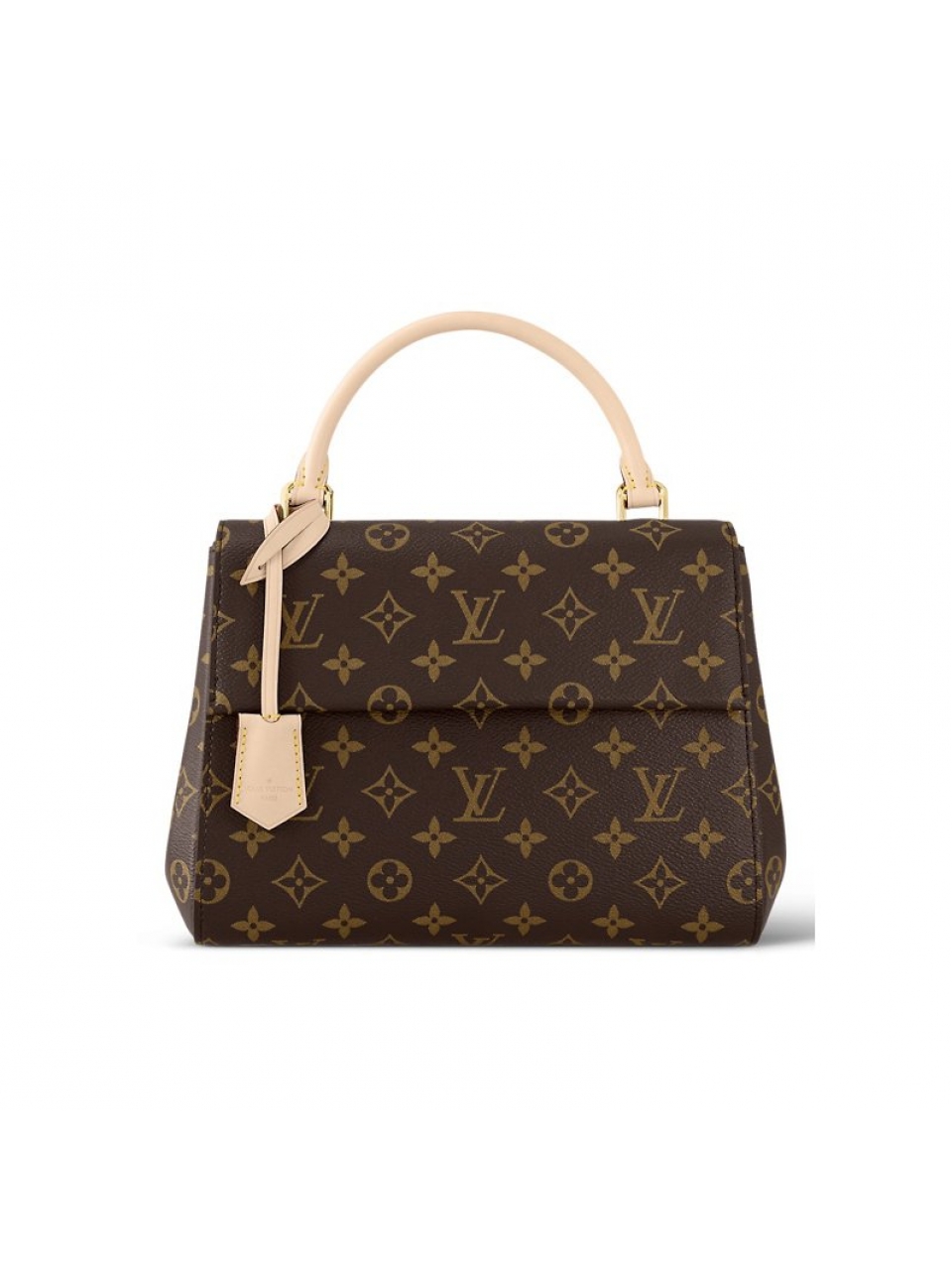 Сумка Louis Vuitton Cluny BB